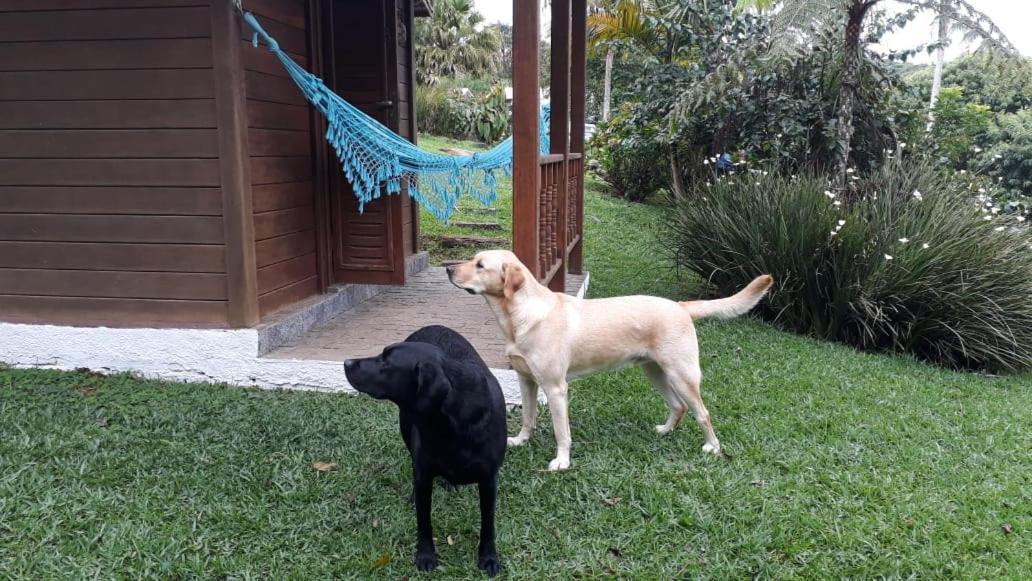 Pousada Recanto Dos Pinheiros Pilar do Sul Екстер'єр фото